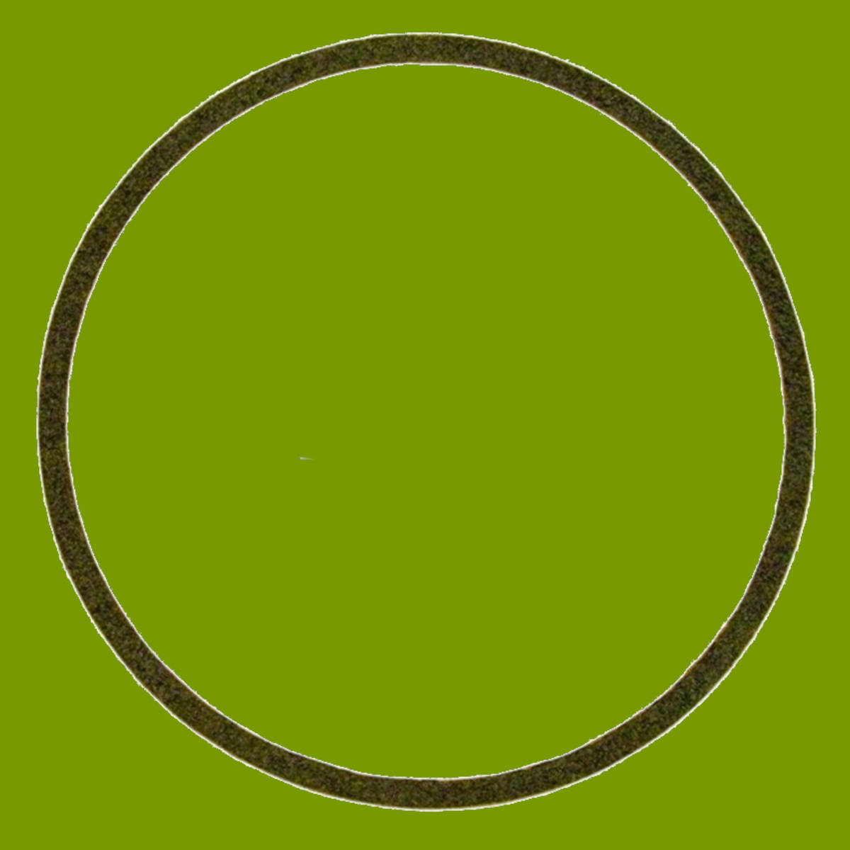 (image for) Briggs & Stratton Bowl Gasket 270511, 4169, 485-185